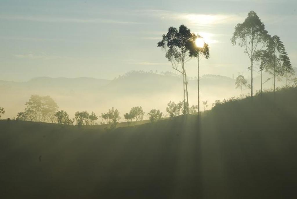 Hotel Jetwing St Andrew'S Nuwara Eliya Exterior foto
